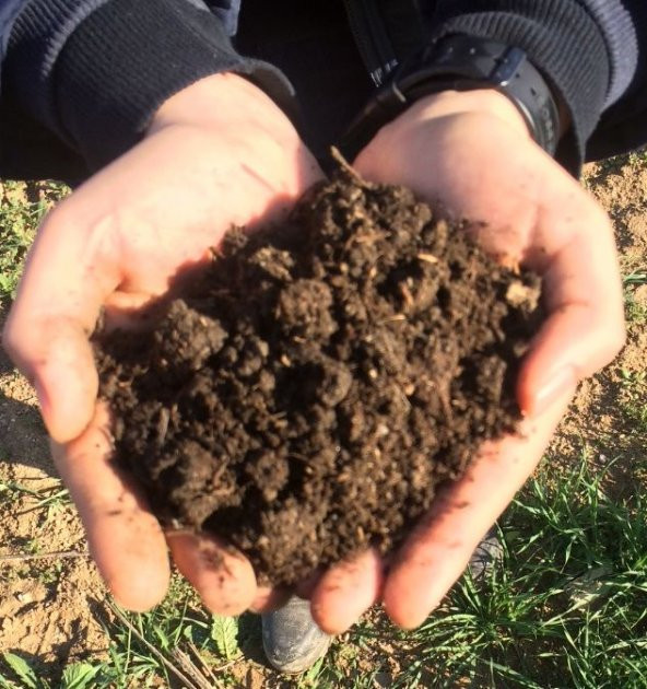 Doğal Yanmış Koyun Gübresi 1 Litre Gübre +Spriz Hediye Tohum