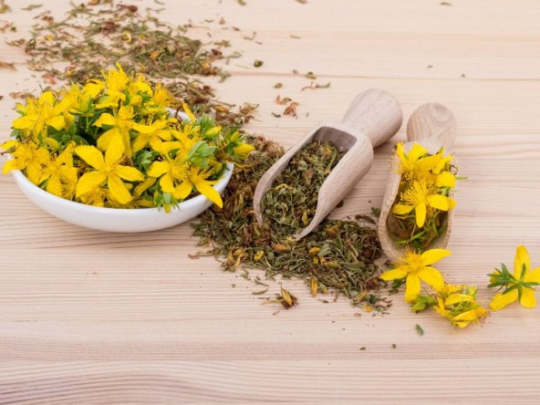 Sarı Kantaron Otu Tohumu 10 Tohumu+Saksı+Toprak+ Hediye Tohum - Resim 3