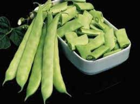 Magnum Fasülye Tohumu Fasülye Tohumu 20 Tohum + Hediye Tohum - Resim 2