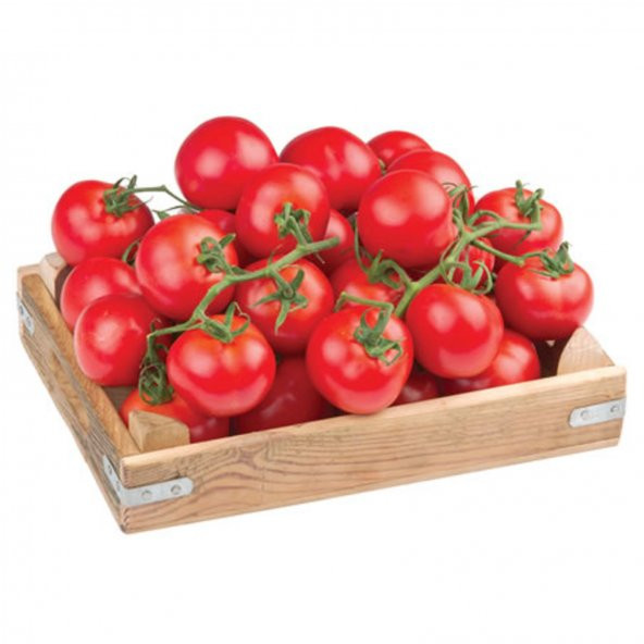 DOMATES 3 KG TOPLAM FİYAT