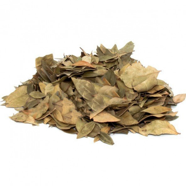 Doğal Yaban Mersini Yaprağı 250Gr