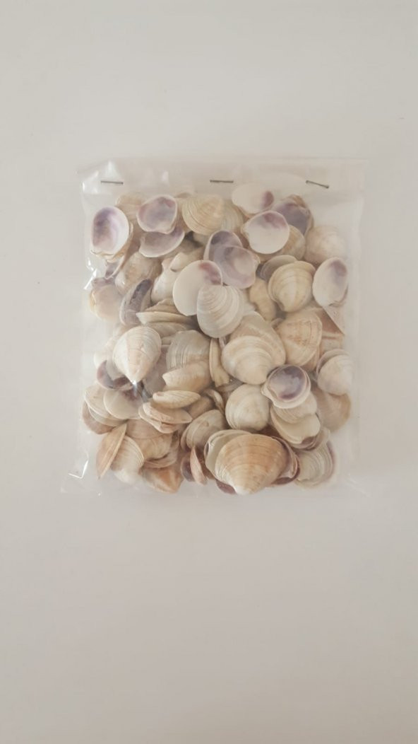Küçük Deniz Kabuğu Süs Dekoratif Akvaryum Süsleme 100 Gr - 4