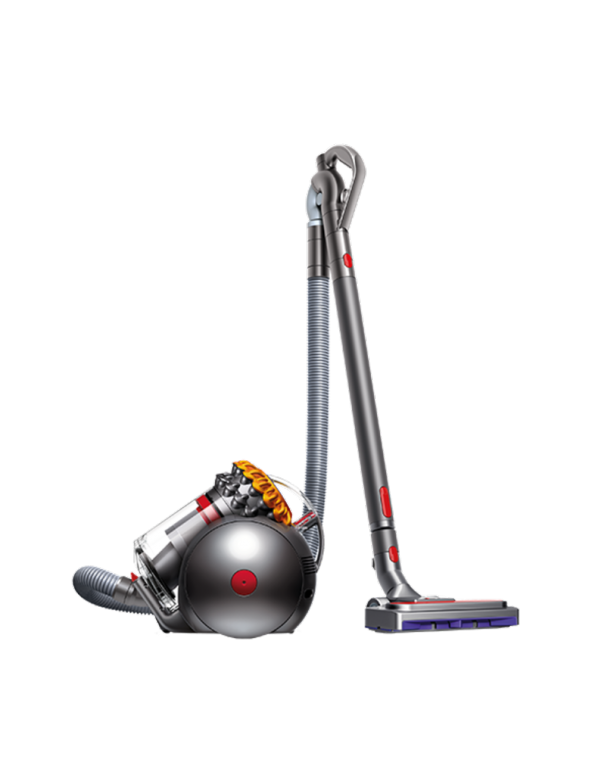 Dyson Big Ball Allergy 2 Kablolu Süpürge