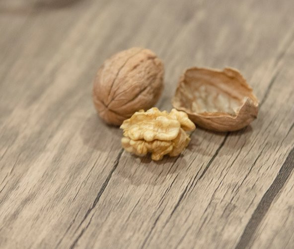 1 ADET FRANQUETTE CEVİZ FİDANI - 5