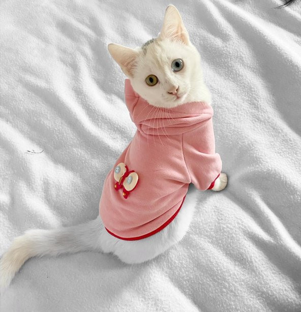 Pink Butterfly Kapsonlu Sweatshirt Kedi Süeteri Kedi Kıyafeti