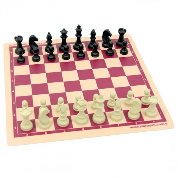 Satranç Dünyası Küçük Okul Satranç Takımı