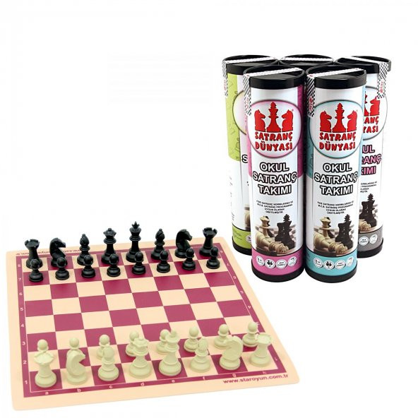 Satranç Dünyası Küçük Okul Satranç Takımı - 3