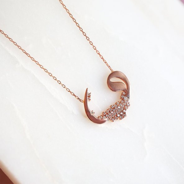 Vav Motifli Taşlı Kadın Gümüş Kolye - 3