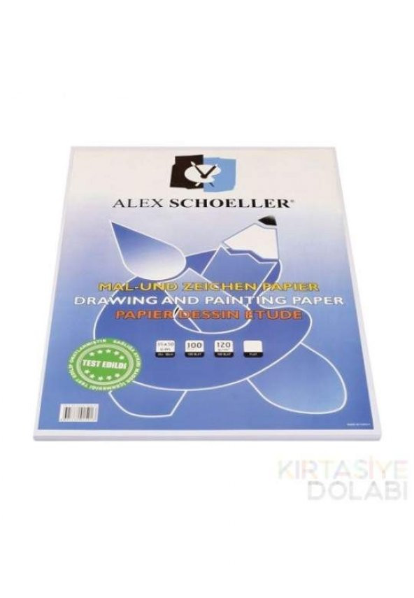 Alex Schoeller Resim Kağıdı 35 X 50 120 gr 100 Lü Paket