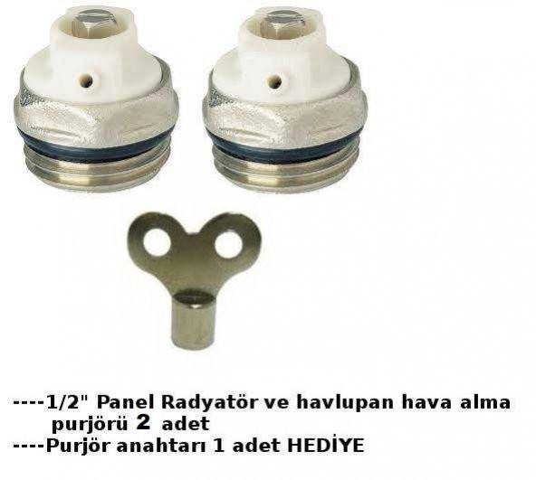 Panel Radyatör ve havlupan Hava Alma Purjör 2 ad+1 anahtar - 2