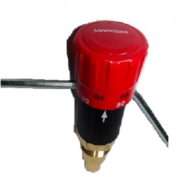 Pakkens Zincirli Kazan Termostatı termostatik regülatör - 2