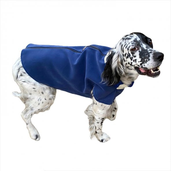 Chamois Blue Güderi Desenli Köpek Ceketi, Orta ve Büyük ırklar için