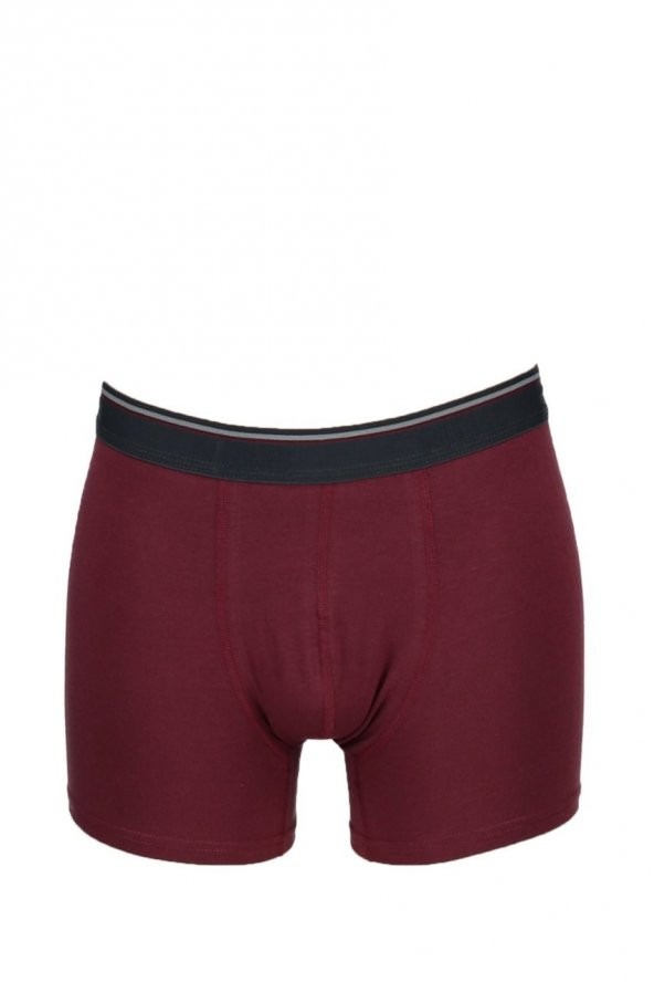 Nbb 735 Erkek Penye Likralı Modal Boxer - 2