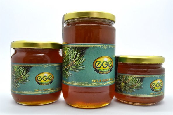 Egemutfağım - Yayla Çamı Balı - 850 gr - 4