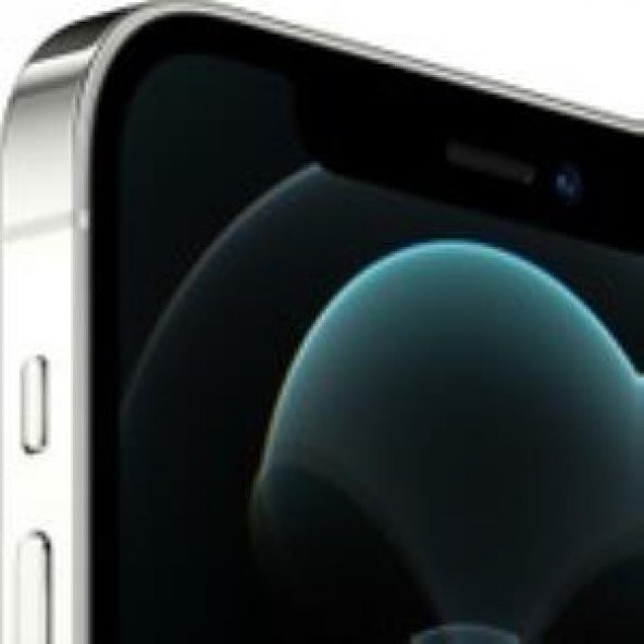Apple iPhone 12 Pro Max 128 GB Gümüş Cep Telefonu (Apple Türkiye Garantili) - 2