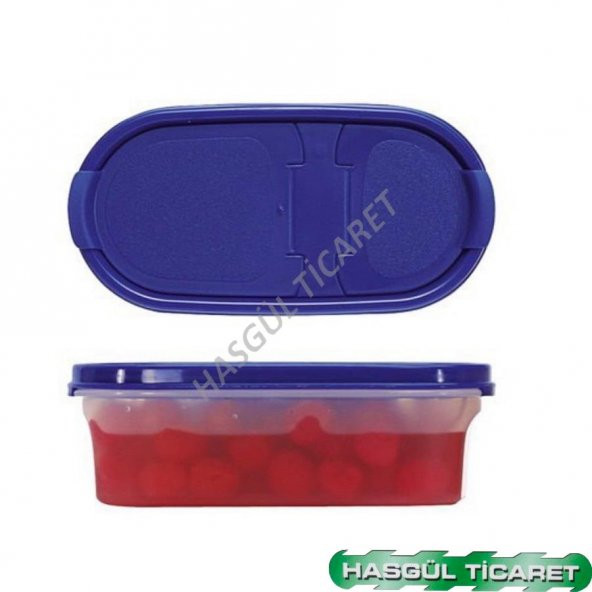 Tupperware OVAL 500 ML KURU GIDA SAKLAMA KABI OVAL 1 MV HSGL - 3