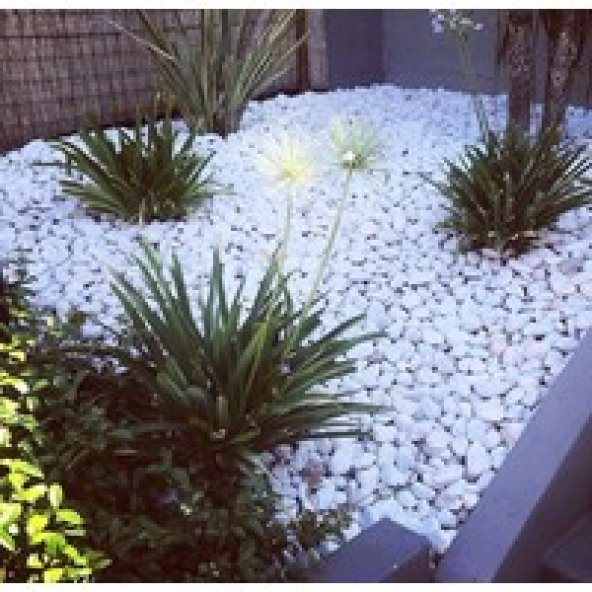 Garden İstanbul 1-2 cm 25 kg Beyaz Dolomit Taş Ücretsiz Kargo - 2