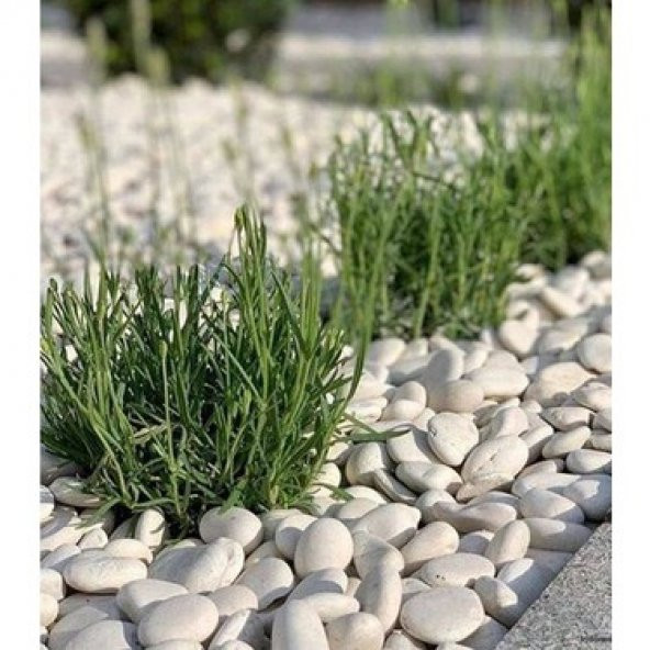 Garden İstanbul 1-2 cm 25 kg Beyaz Dolomit Taş Ücretsiz Kargo - 3