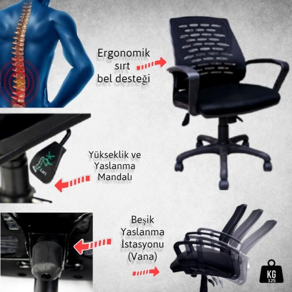 Pole2 Çalışma Koltuğu Bilgisayar Koltuğu Fileli Koltuk Çalışma Sandalyesi Ofis Koltuğu Büro Koltuk - 2