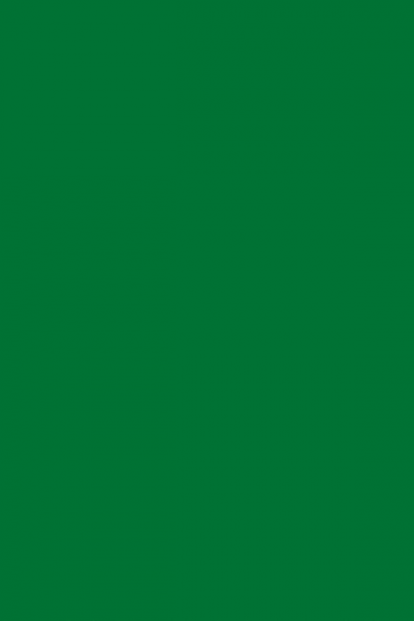 Mat Yeşill Yapışkanlı Folyo  61 CM  X 1 MT
