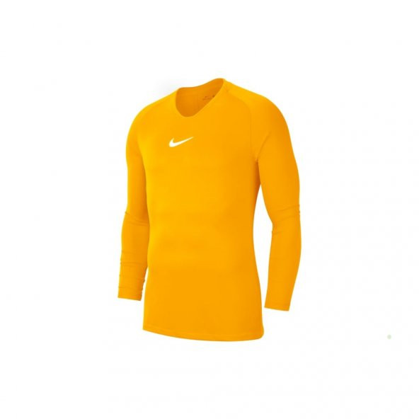 Nike Erkek Termal Giyim & İçlik Dri-Fıt Park First Layer Av2609-739