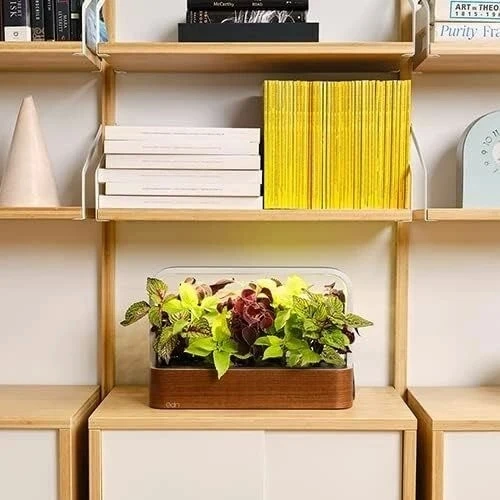 Edn Bitkiler ve Çiçekler için İç Mekanda Yetiştirme Akıllı Bahçe Başlangıç Seti - 3