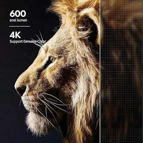 Goodee Projektör 4K WiFi ve Bluetooth FHD 1080P Mini Projektör 1080P - 3
