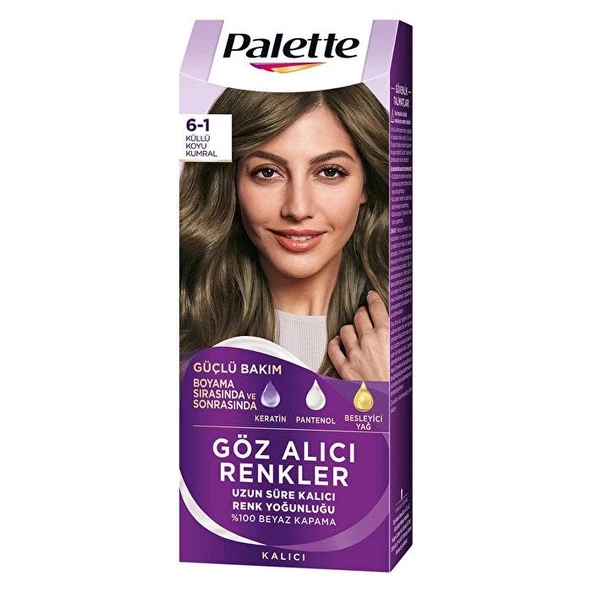 Palette Göz Alıcı Renkler Saç Boyası 6-1 Küllü Koyu Kumral