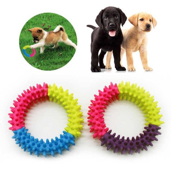 Köpek Diş Temizleme Isırma Çemberi Kaşıma Isırma Oyuncağı - 2