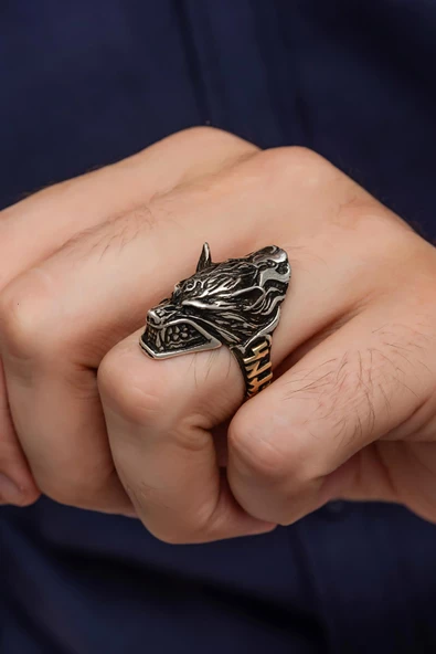 Kurt Motif Göktürkçe TÜRK Yazılı 925 Gümüş Erkek Yüzük - Resim 3