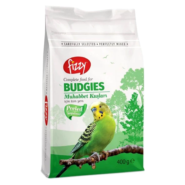 Fizzy Kabuksuz Muhabbet Yemi 400 Gr