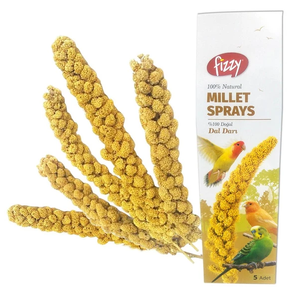 Fizzy Doğal Dal Darı