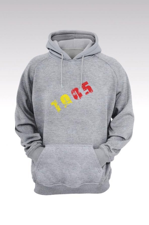 GS 01 Gri Kapşonlu Sweatshirt - Hoodie - 1