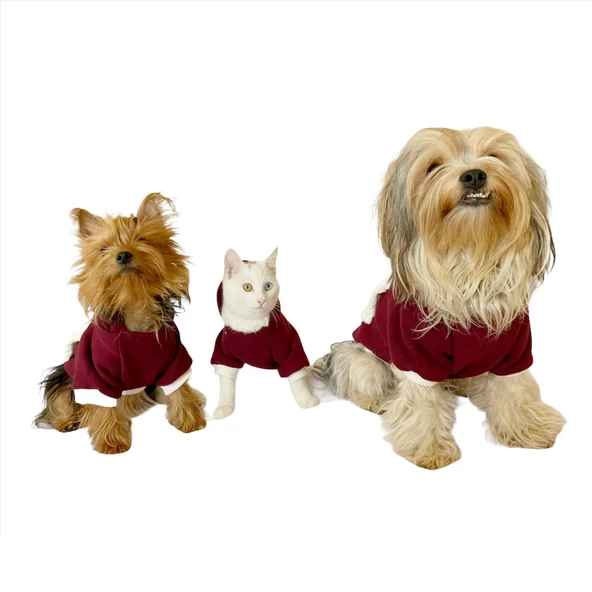 Cream Bordo Kapşonlu Sweat by Kemique Köpek Kazağı - 8