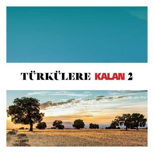 TÜRKÜLERE KALAN 2 - ÇEŞİTLİ SANATÇILAR (2 CD)