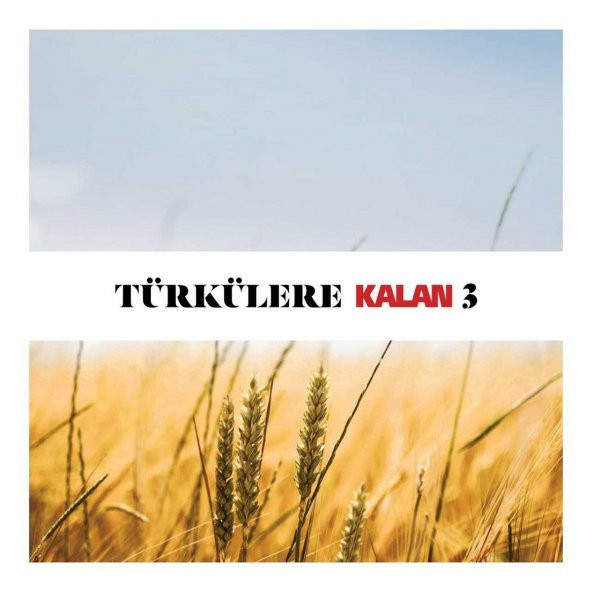 TÜRKÜLERE KALAN 3 - ÇEŞİTLİ SANATÇILAR (2 CD)