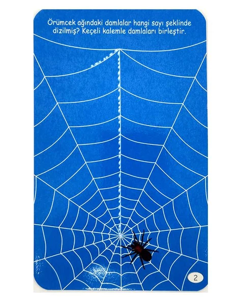 Teleskop Popüler Bilim Eğitici Bulmaca Kartları ve Diytoy Manyetik Alfabe Yazı Tahtası Seti - 4