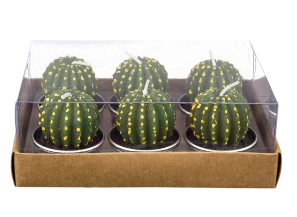 ROYAL KAKTÜS MUM X-655 TOMBUL 6 LI ürün görseli