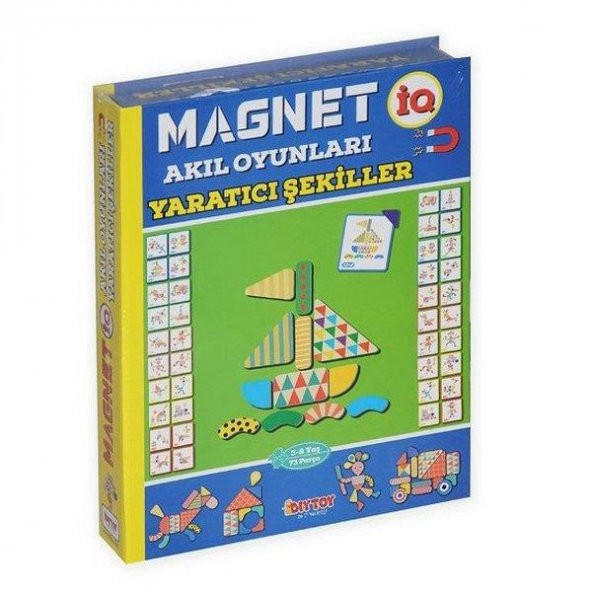 DIYTOY MAGNETİK YARATICI ŞEKİLLLER & AKIL OYUNLARI - 2