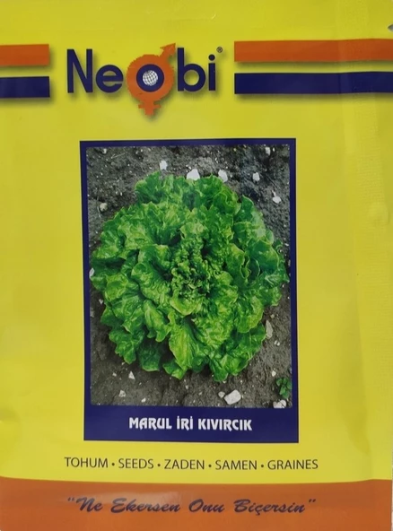 Neobi Marul İri Kıvırcık 10gr