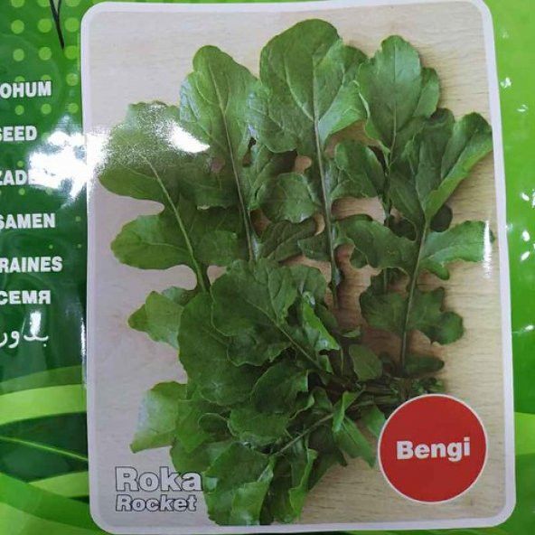 BALIKESİR ROKA