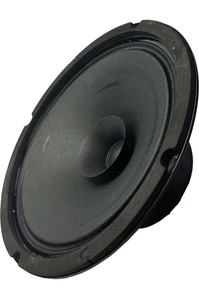 Lastvoice AYN-8 Full Kağıt 150 Watt 8 Ohm 20 cm 8 İnç Hoparlör (Adet) - Resim 4