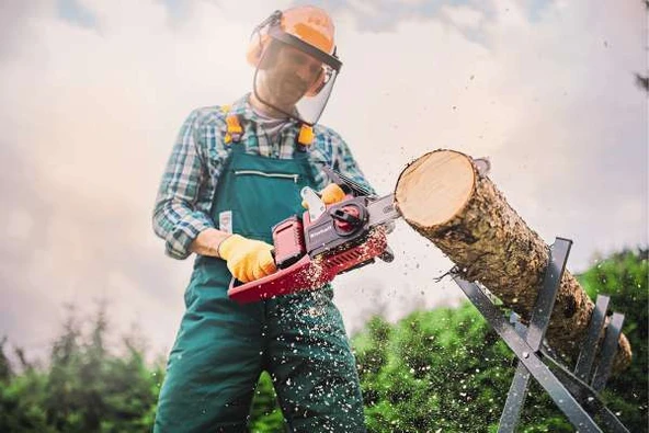 Einhell GP-LC 36/35 li-solo Akülü Ağaç Kesme - 4