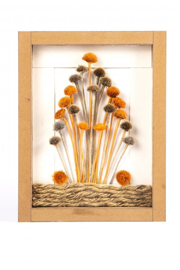 Kuru Çiçek Papatya 3D Tekli El Yapımı Çerçeve Tablo 26x20x2,5