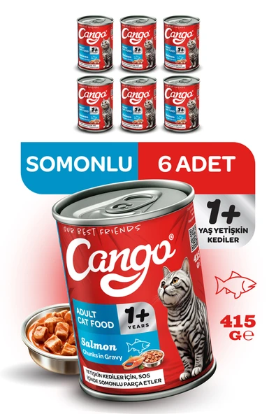 Cango Yetişkin Yaş Kedi Maması Somonlu 415Gr 6Lı