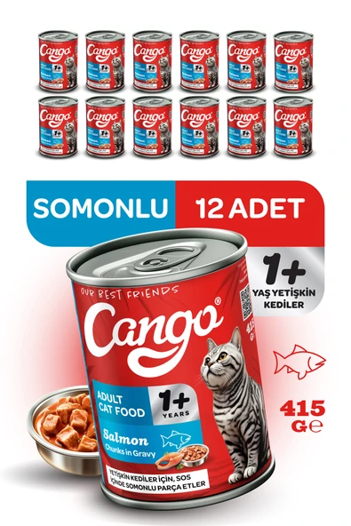 Cango Yetişkin Yaş Kedi Maması Somonlu 415Gr 12Li - 2