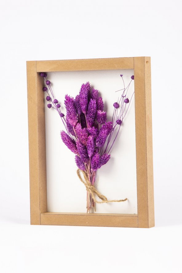 Kuru Çiçek Kuş Otu 3D Tekli El Yapımı Çerçeve Tablo 26x20x2,5 - 2