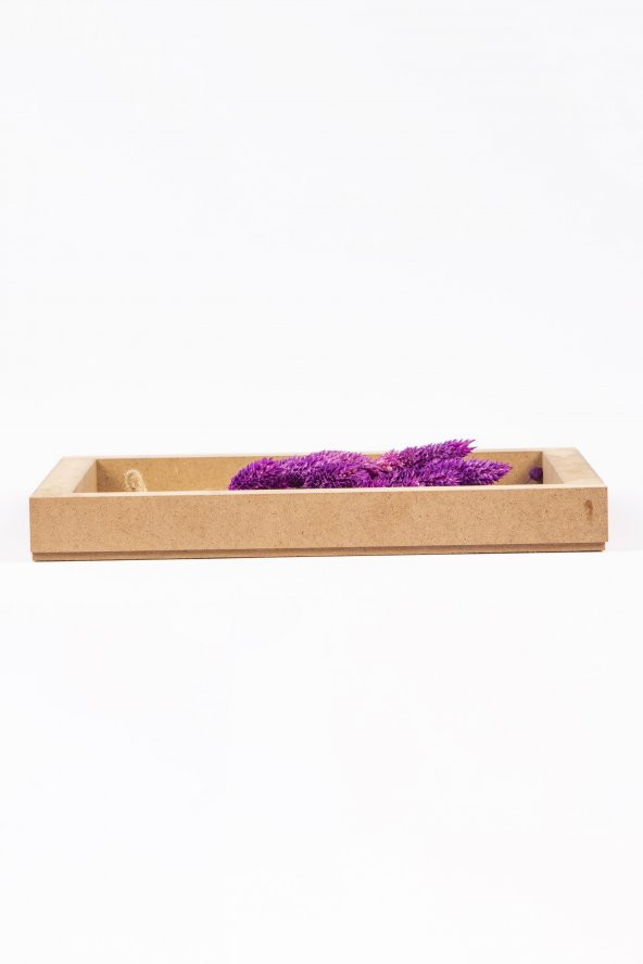 Kuru Çiçek Kuş Otu 3D Tekli El Yapımı Çerçeve Tablo 26x20x2,5 - 4
