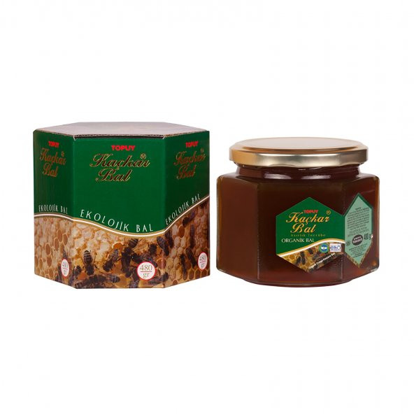 Organik Kaçkar Bal (Orman Balı) 480 gr.