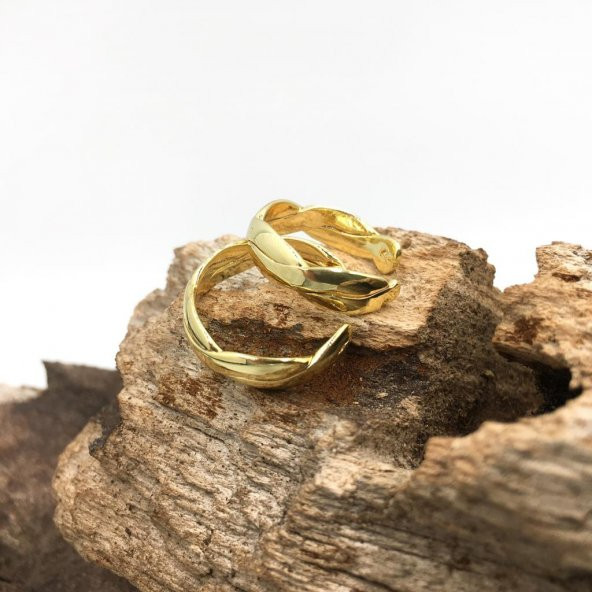 2li Örgü Gold Kıkırdak Küpe - 2